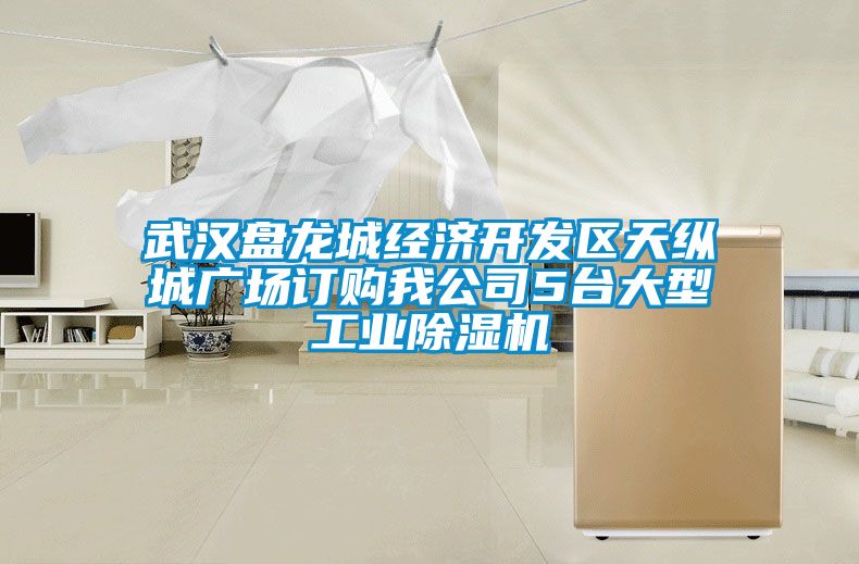 武汉盘龙城经济开发区天纵城广场订购我公司5台大型工业91抖音免费看片