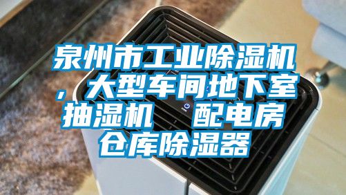 泉州市工业91抖音免费看片，大型车间地下室抽湿机  配电房仓库除湿器
