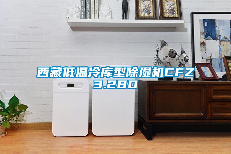 西藏低温冷库型91抖音免费看片CFZ3.2BD
