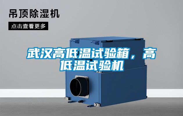武汉高低温试验箱，高低温试验机
