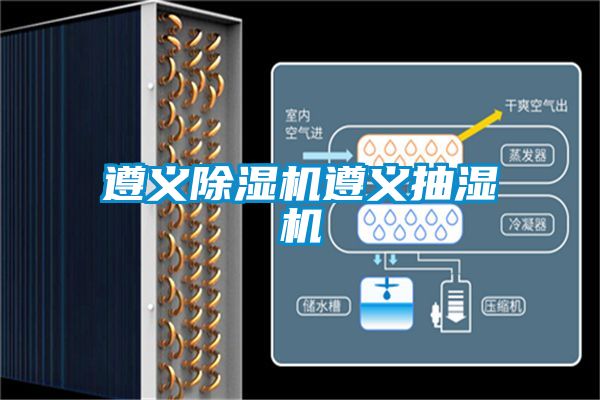 遵义91抖音免费看片遵义抽湿机