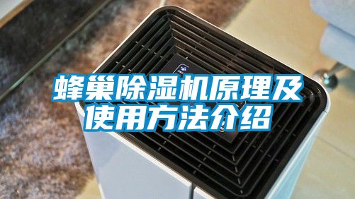 蜂巢91抖音免费看片原理及使用方法介绍