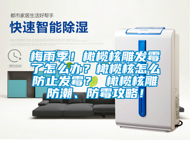 梅雨季！橄榄核雕发霉了怎么办？橄榄核怎么防止发霉？ 橄榄核雕防潮、防霉攻略！