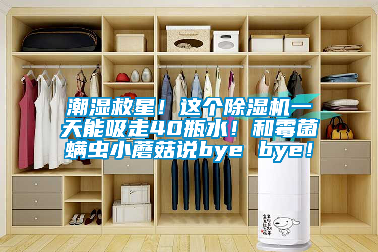 潮湿救星！这个91抖音免费看片一天能吸走40瓶水！和霉菌螨虫小蘑菇说bye bye！