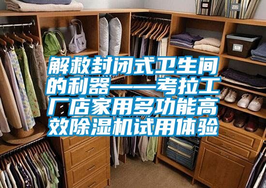 解救封闭式卫生间的利器——考拉工厂店家用多功能高效91抖音免费看片试用体验
