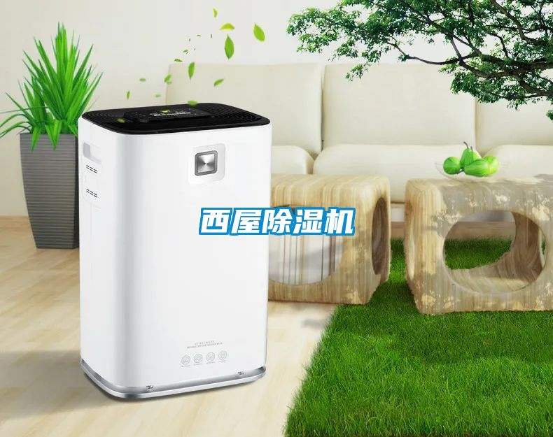 西屋91抖音免费看片