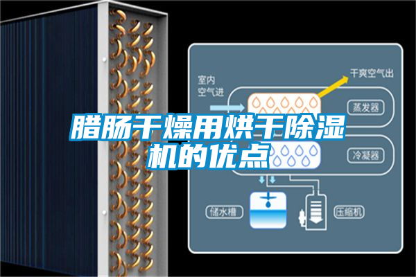 腊肠干燥用烘干91抖音免费看片的优点