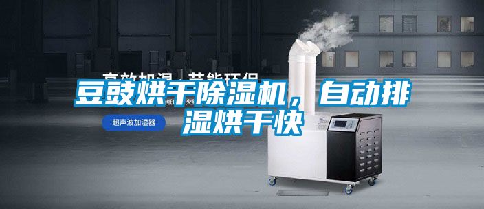 豆豉烘干91抖音免费看片，自动排湿烘干快