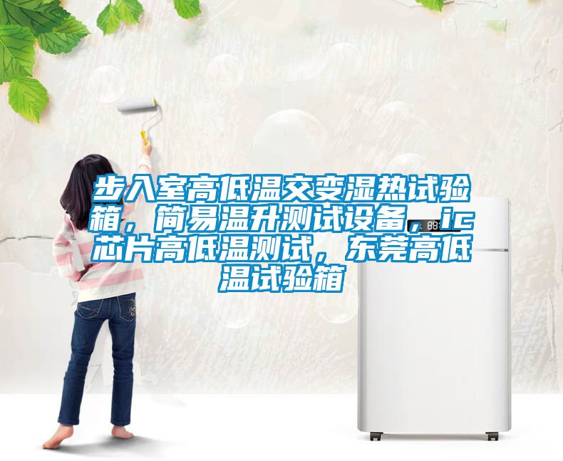步入室高低温交变湿热试验箱，简易温升测试设备，ic芯片高低温测试，东莞高低温试验箱