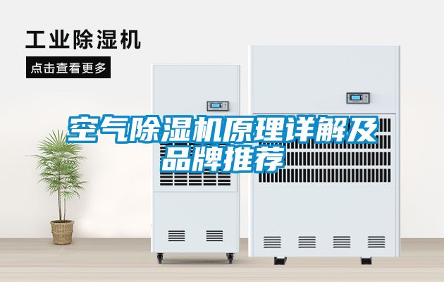 空气91抖音免费看片原理详解及品牌推荐
