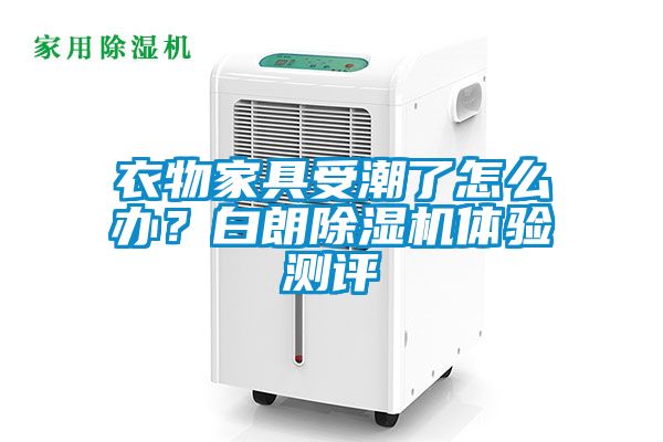 衣物家具受潮了怎么办？白朗91抖音免费看片体验测评