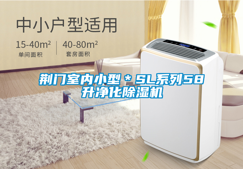 荆门室内小型＊SL系列58升净化91抖音免费看片
