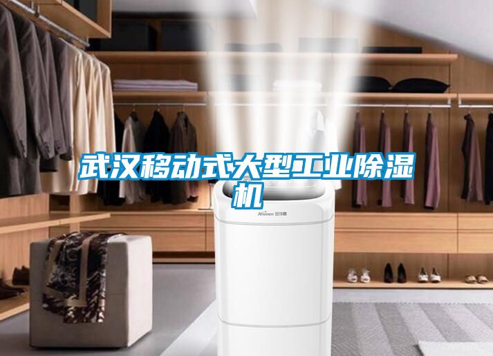武汉移动式大型工业91抖音免费看片