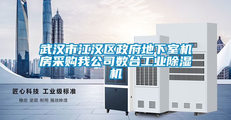 武汉市江汉区政府地下室机房采购我公司数台工业91抖音免费看片
