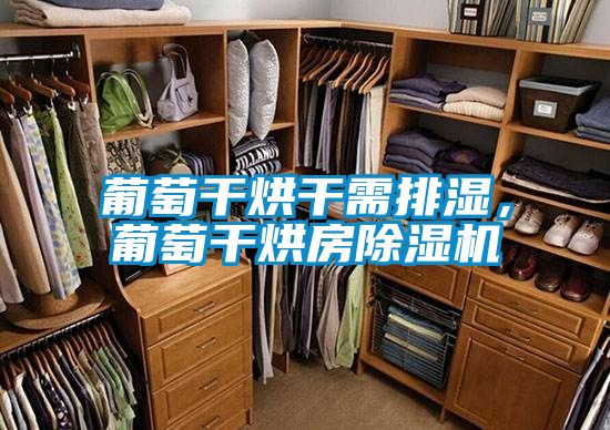 葡萄干烘干需排湿，葡萄干烘房91抖音免费看片