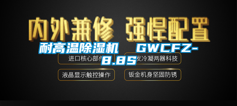 耐高温91抖音免费看片  GWCFZ-8.8S