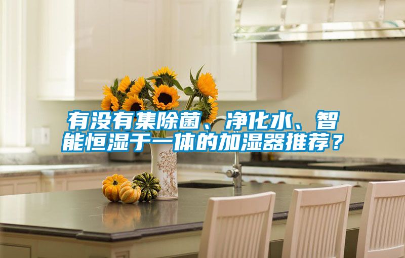 有没有集除菌、净化水、智能恒湿于一体的加湿器推荐？