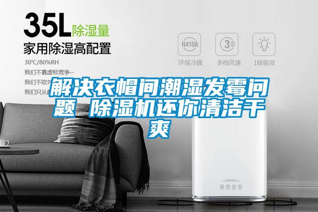 解决衣帽间潮湿发霉问题 91抖音免费看片还你清洁干爽