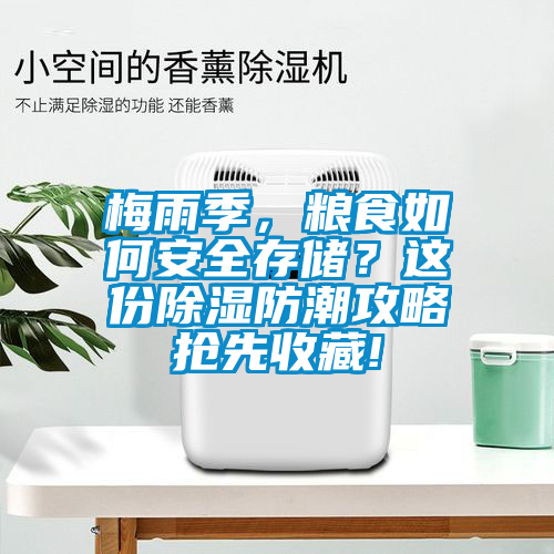 梅雨季，粮食如何安全存储？这份除湿防潮攻略抢先收藏!