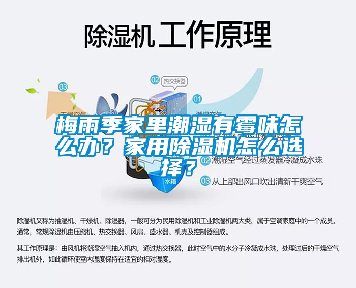梅雨季家里潮湿有霉味怎么办？家用91抖音免费看片怎么选择？