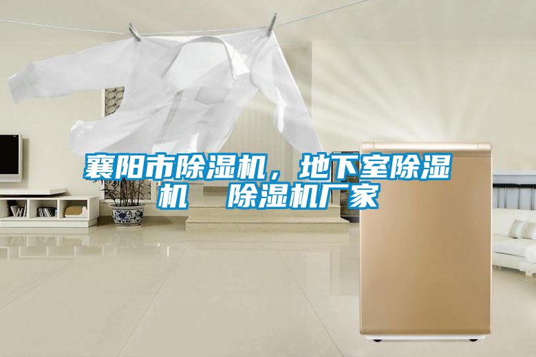 襄阳市91抖音免费看片，地下室91抖音免费看片  91抖音免费看片厂家
