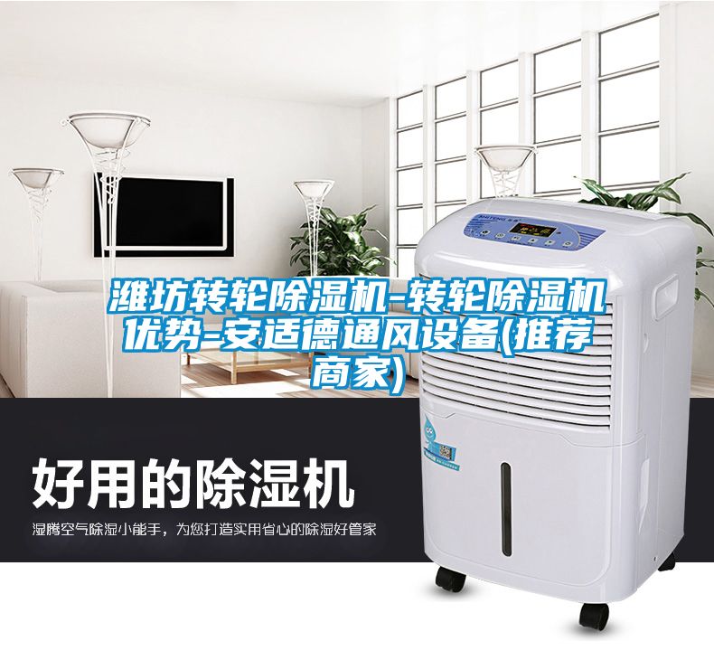 潍坊转轮91抖音免费看片-转轮91抖音免费看片优势-安适德通风设备(推荐商家)