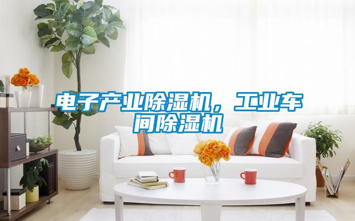 电子产业91抖音免费看片，工业车间91抖音免费看片