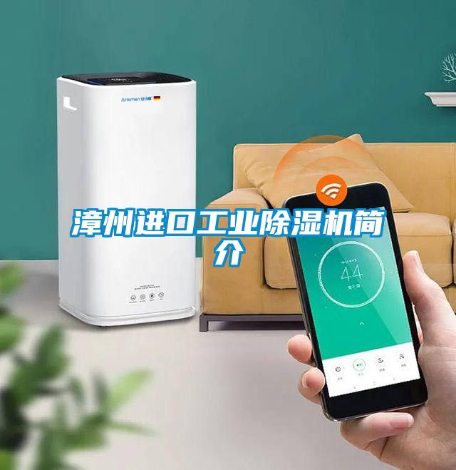 漳州进口工业91抖音免费看片简介