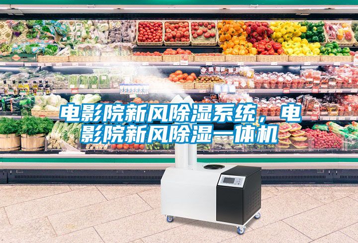 电影院新风除湿系统，电影院新风除湿一体机