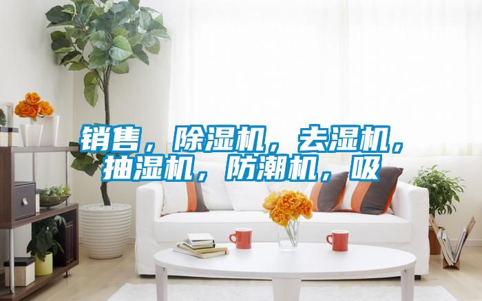 销售，91抖音免费看片，去湿机，抽湿机，防潮机，吸