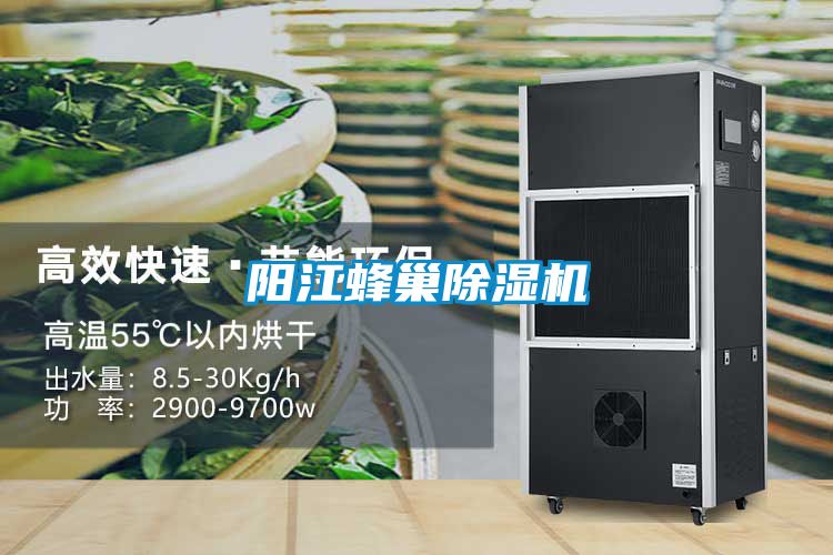 阳江蜂巢91抖音免费看片