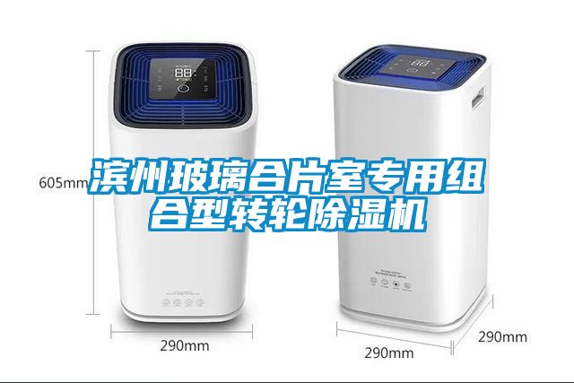 滨州玻璃合片室专用组合型转轮91抖音免费看片