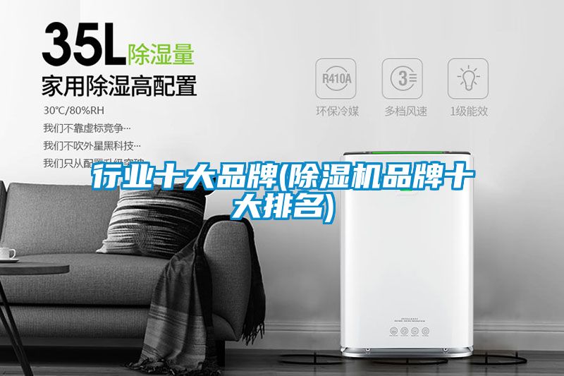 行业十大品牌(91抖音免费看片品牌十大排名)