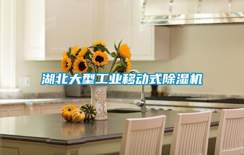 湖北大型工业移动式91抖音免费看片