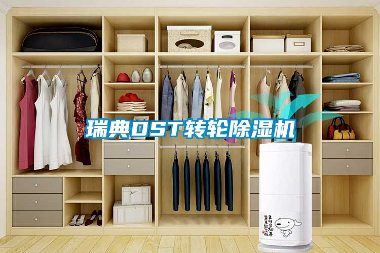 瑞典DST转轮91抖音免费看片
