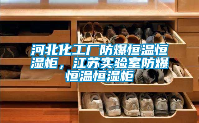 河北化工厂防爆恒温恒湿柜，江苏实验室防爆恒温恒湿柜