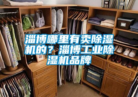 淄博哪里有卖91抖音免费看片的？淄博工业91抖音免费看片品牌