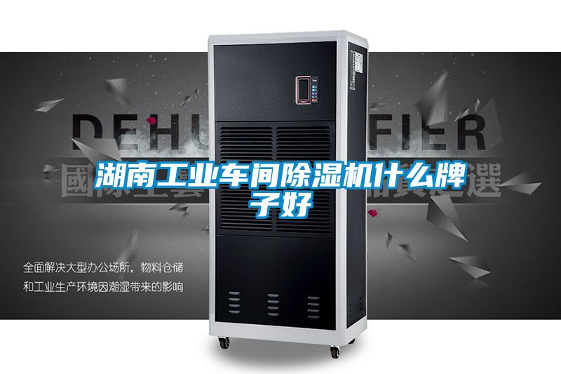 湖南工业车间91抖音免费看片什么牌子好