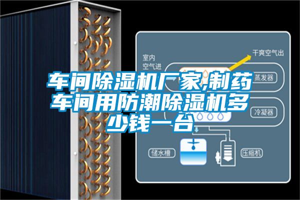 车间91抖音免费看片厂家,制药车间用防潮91抖音免费看片多少钱一台