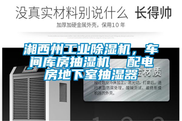 湘西州工业91抖音免费看片，车间库房抽湿机  配电房地下室抽湿器