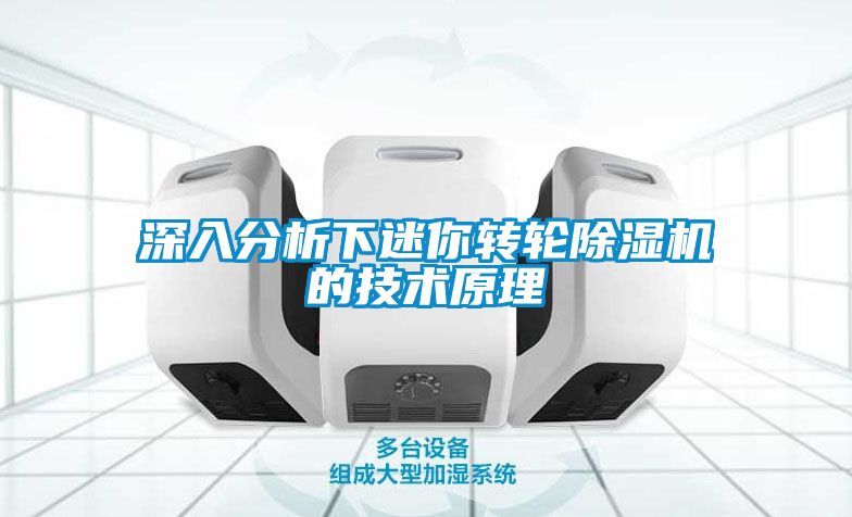 深入分析下迷你转轮91抖音免费看片的技术原理