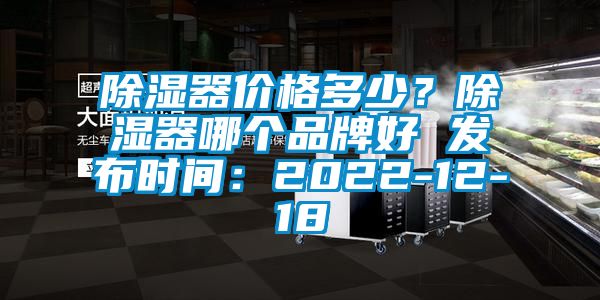 除湿器价格多少？除湿器哪个品牌好 发布时间：2022-12-18
