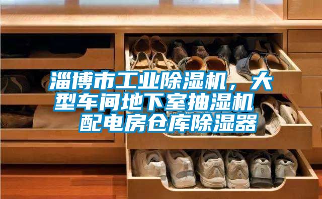 淄博市工业91抖音免费看片，大型车间地下室抽湿机  配电房仓库除湿器