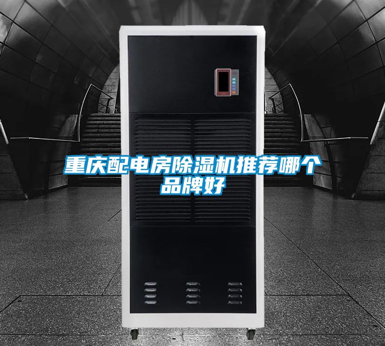 重庆配电房91抖音免费看片推荐哪个品牌好