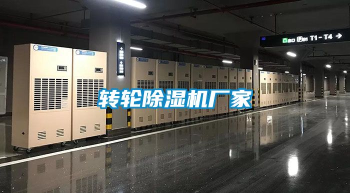 转轮91抖音免费看片厂家