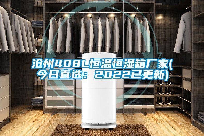 沧州408L恒温恒湿箱厂家(今日直选：2022已更新)