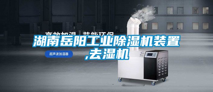 湖南岳阳工业91抖音免费看片装置,去湿机