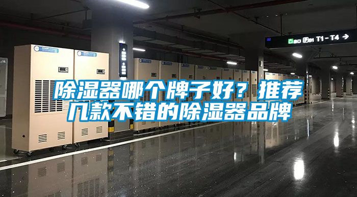 除湿器哪个牌子好？推荐几款不错的除湿器品牌
