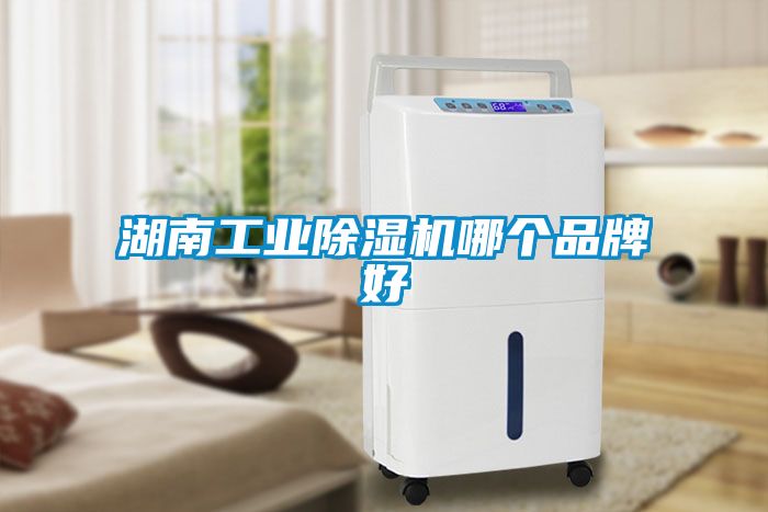 湖南工业91抖音免费看片哪个品牌好