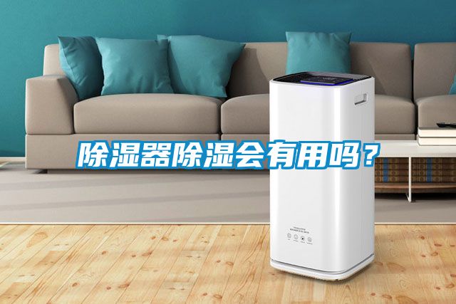 除湿器除湿会有用吗？